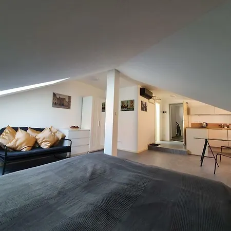 Cozy Luxury In The Center Apartment Plzen