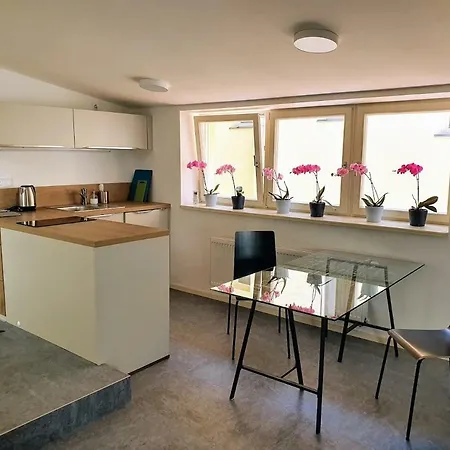Cozy Luxury In The Center Apartment